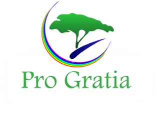 Progratia School