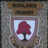 Bushlands Primary School